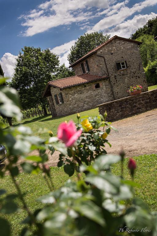 Coriana Apartments&villas Appartamento
