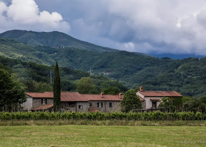 Coriana Apartments & Villas